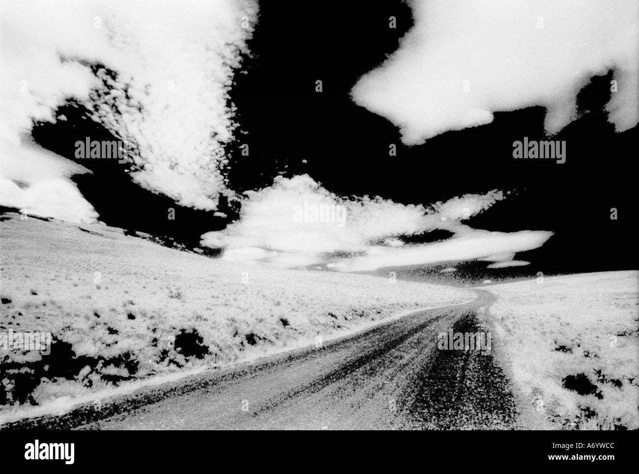 La route de Leslie Gulch dans le sud-est de l'Oregon b w film infrarouge Banque D'Images