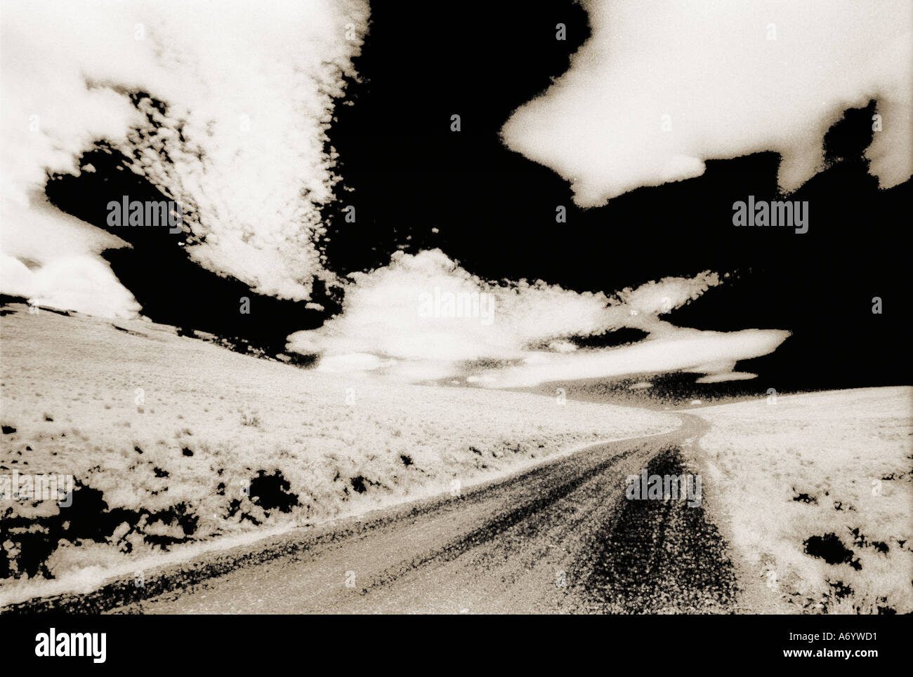La route de Leslie Gulch dans le sud-est de l'Oregon b w film infrarouge Banque D'Images