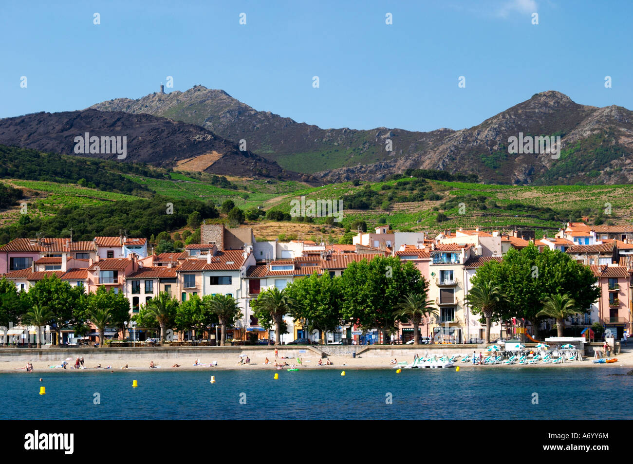 Collioure. Roussillon. La plage et le village. La France. L'Europe. Vignoble. Montagnes en arrière-plan. Banque D'Images