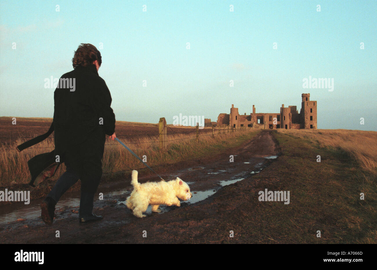 Slains Castle Scotland UK Banque D'Images