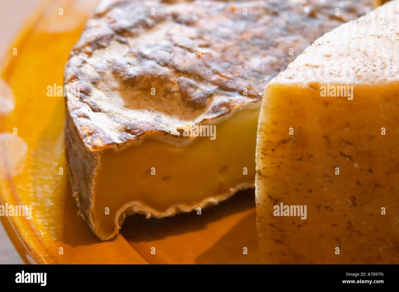 Ancien St Nectaire fromage. Domaine Piccinini dans La Liviniere Minervois. Languedoc. La France. L'Europe. Banque D'Images