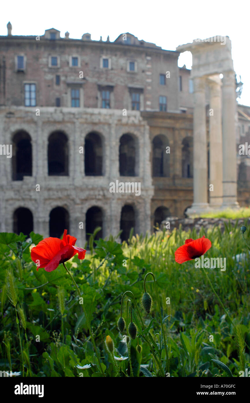 Teatro Marcello et Apollon Sosien Temple Rome Italie Banque D'Images