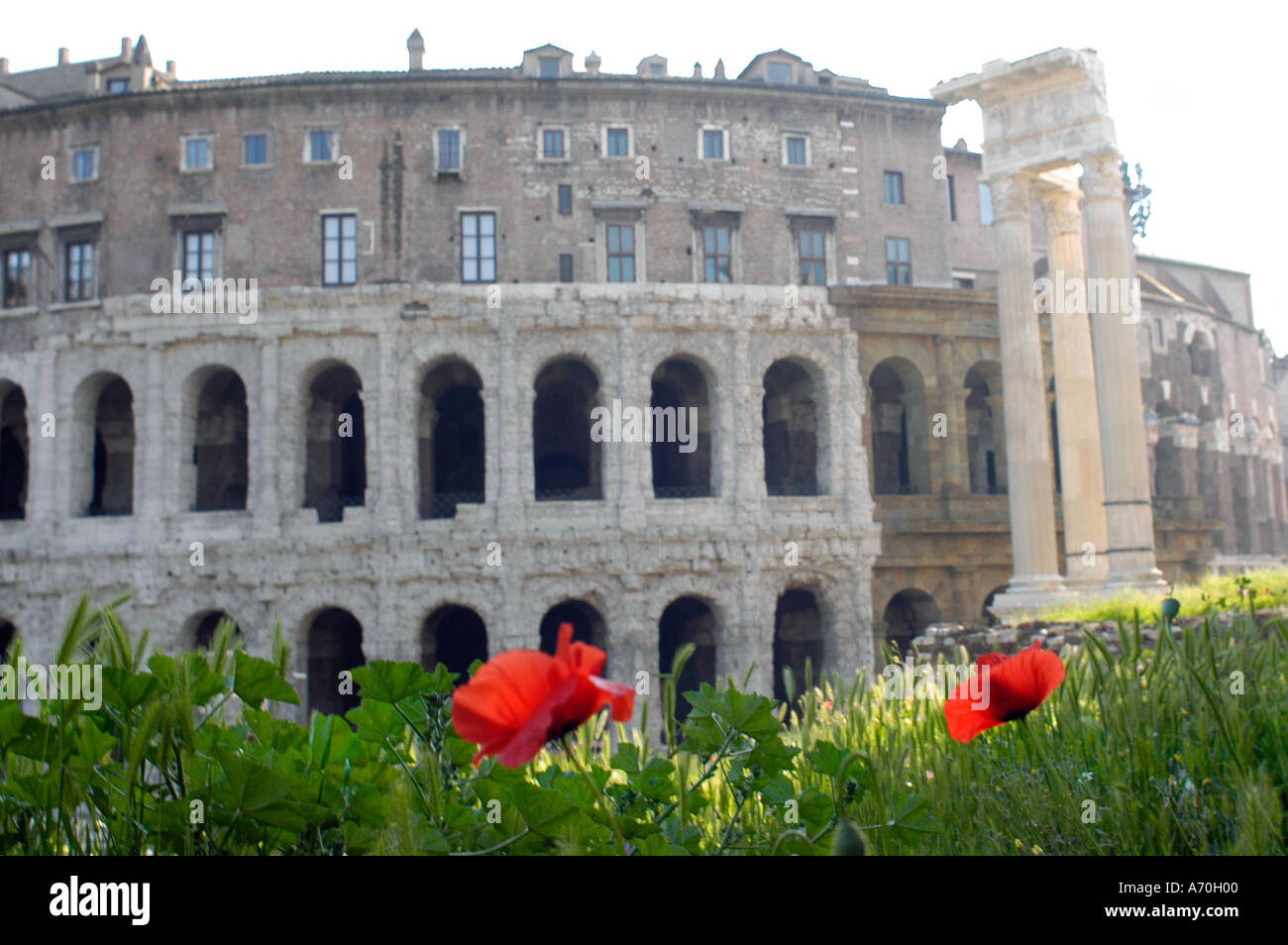 Teatro Marcello et Apollon Sosien Temple Rome Italie Banque D'Images