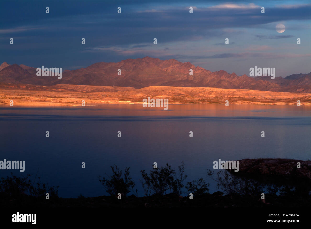Lake Mead dans le Nevada Banque D'Images