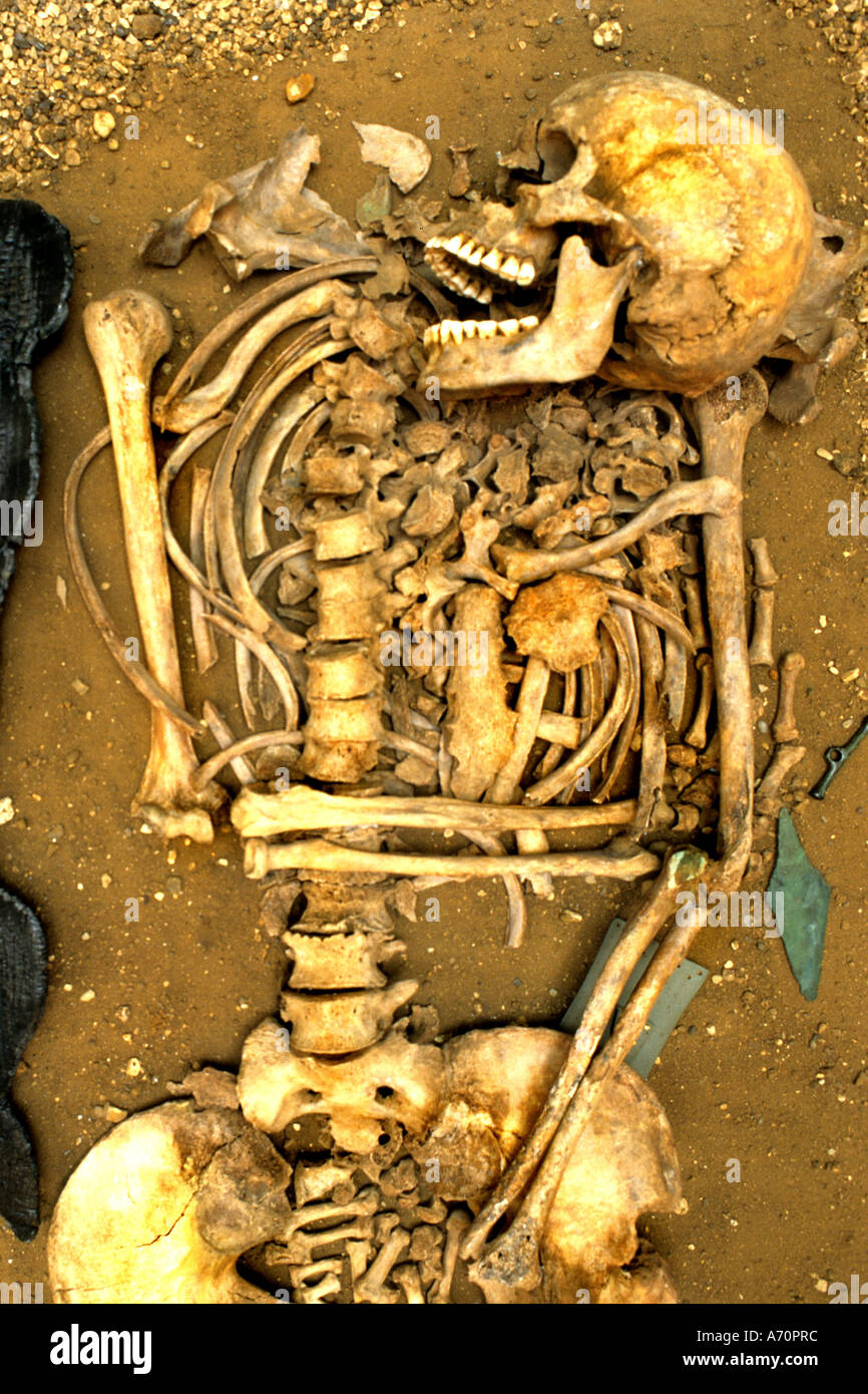 Barnack 2100 Graves Baker mâle BC Cambridgeshire Banque D'Images