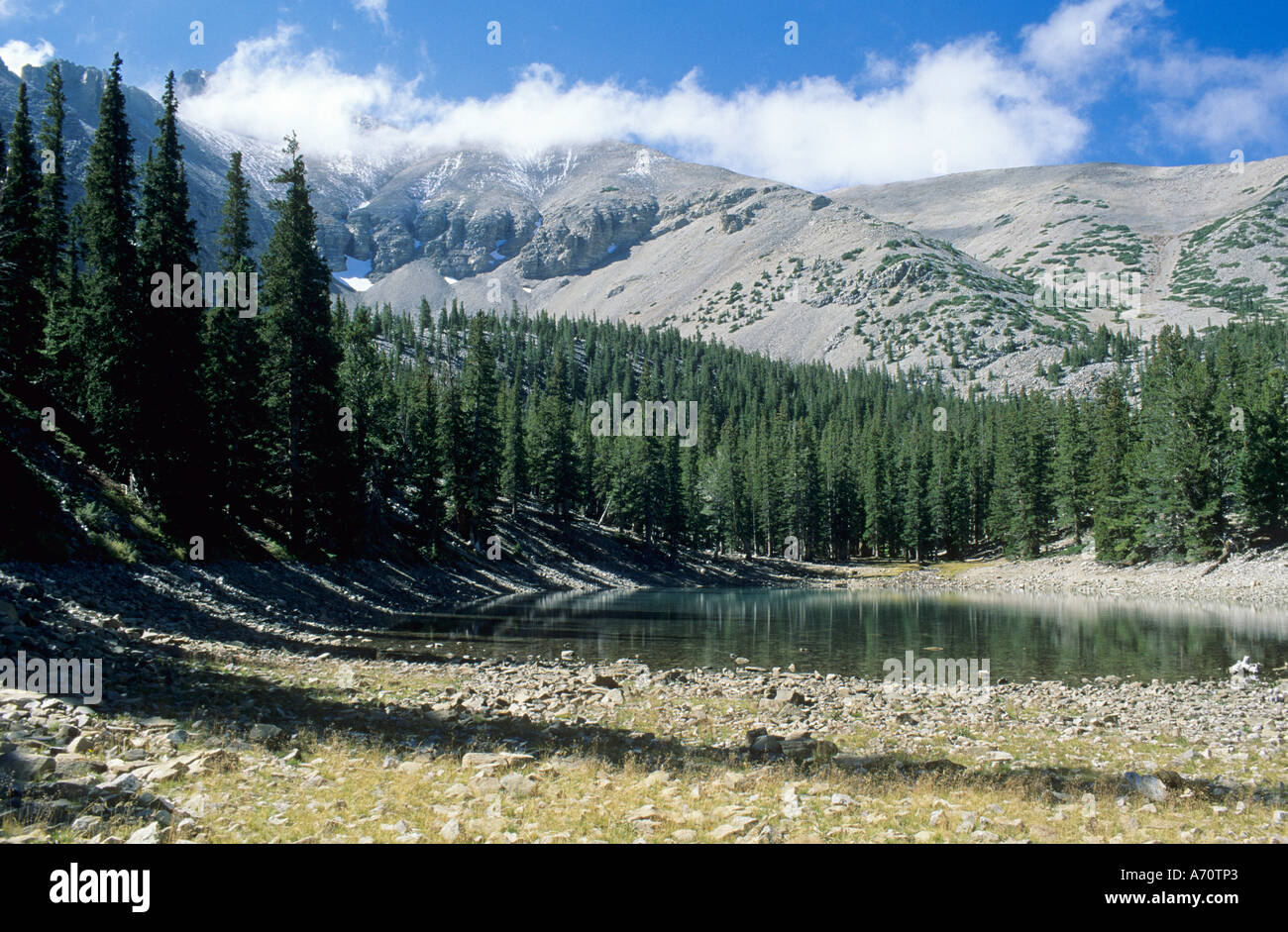 Teresa Lake avec mont Wheeler, Vallée des Glaciers, le Parc National du Grand Bassin, Nevada, USA Banque D'Images