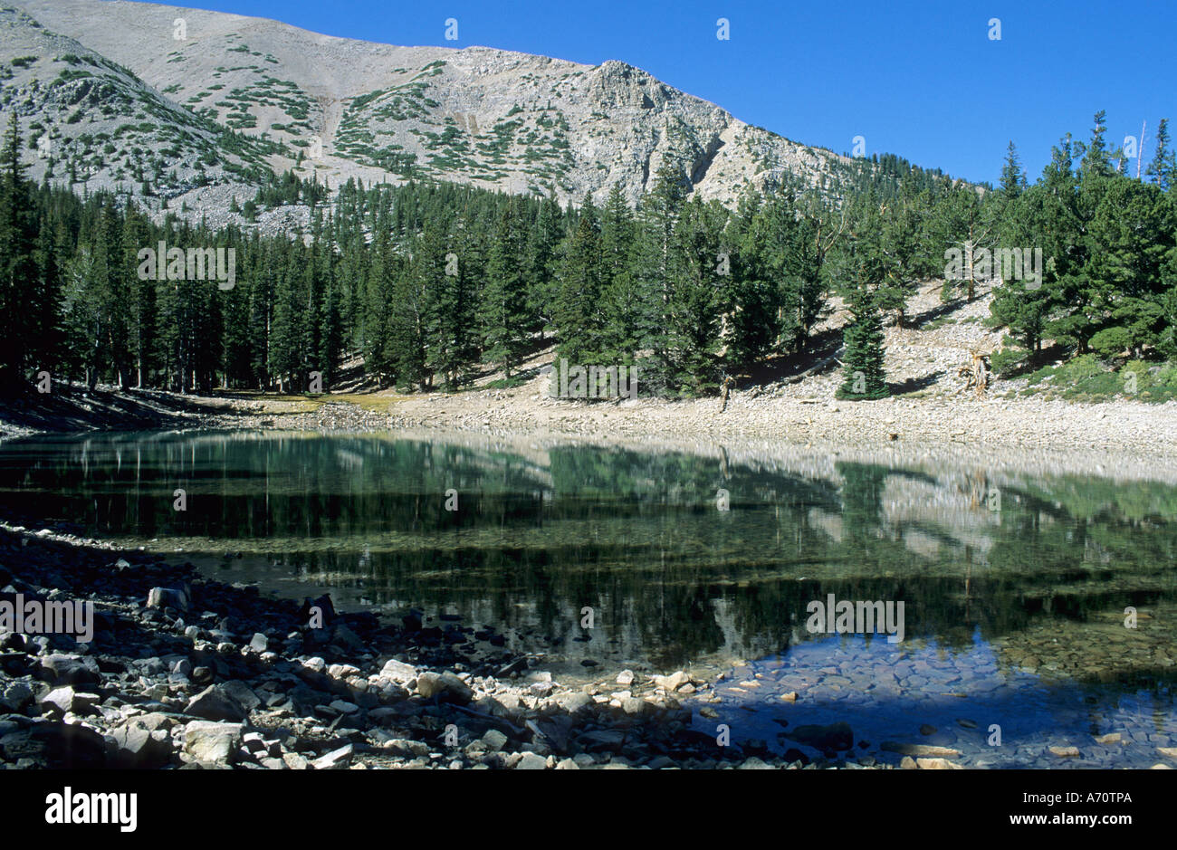 Teresa Lake avec mont Wheeler, Vallée des Glaciers, le Parc National du Grand Bassin, Nevada, USA Banque D'Images