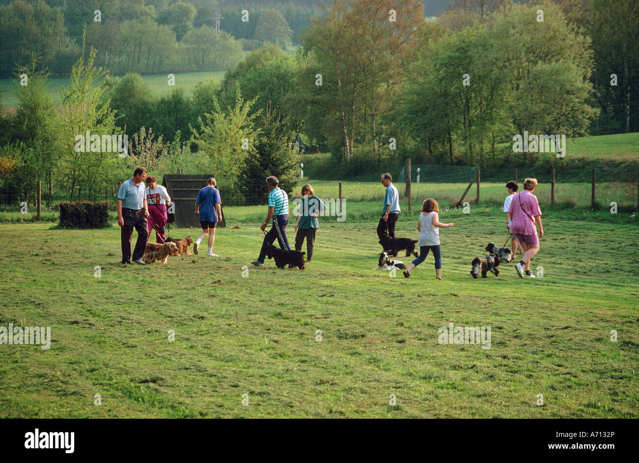 L'éducation de chien : les personnes ayant des chiens sur la masse de forage Banque D'Images