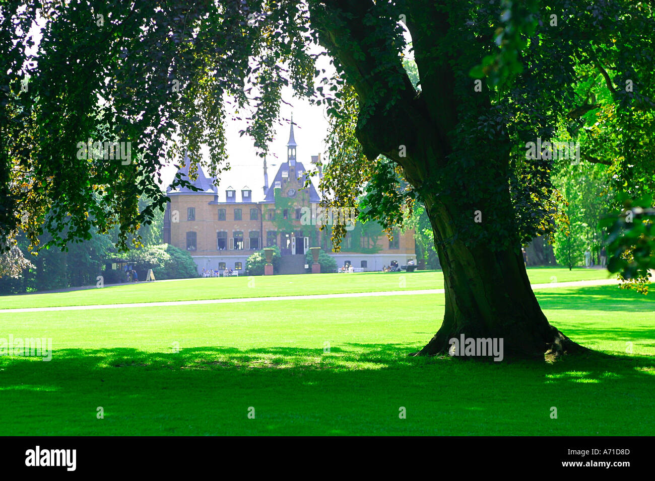 Arbre à Sofiero Castle, Helsingborg, Suède Banque D'Images