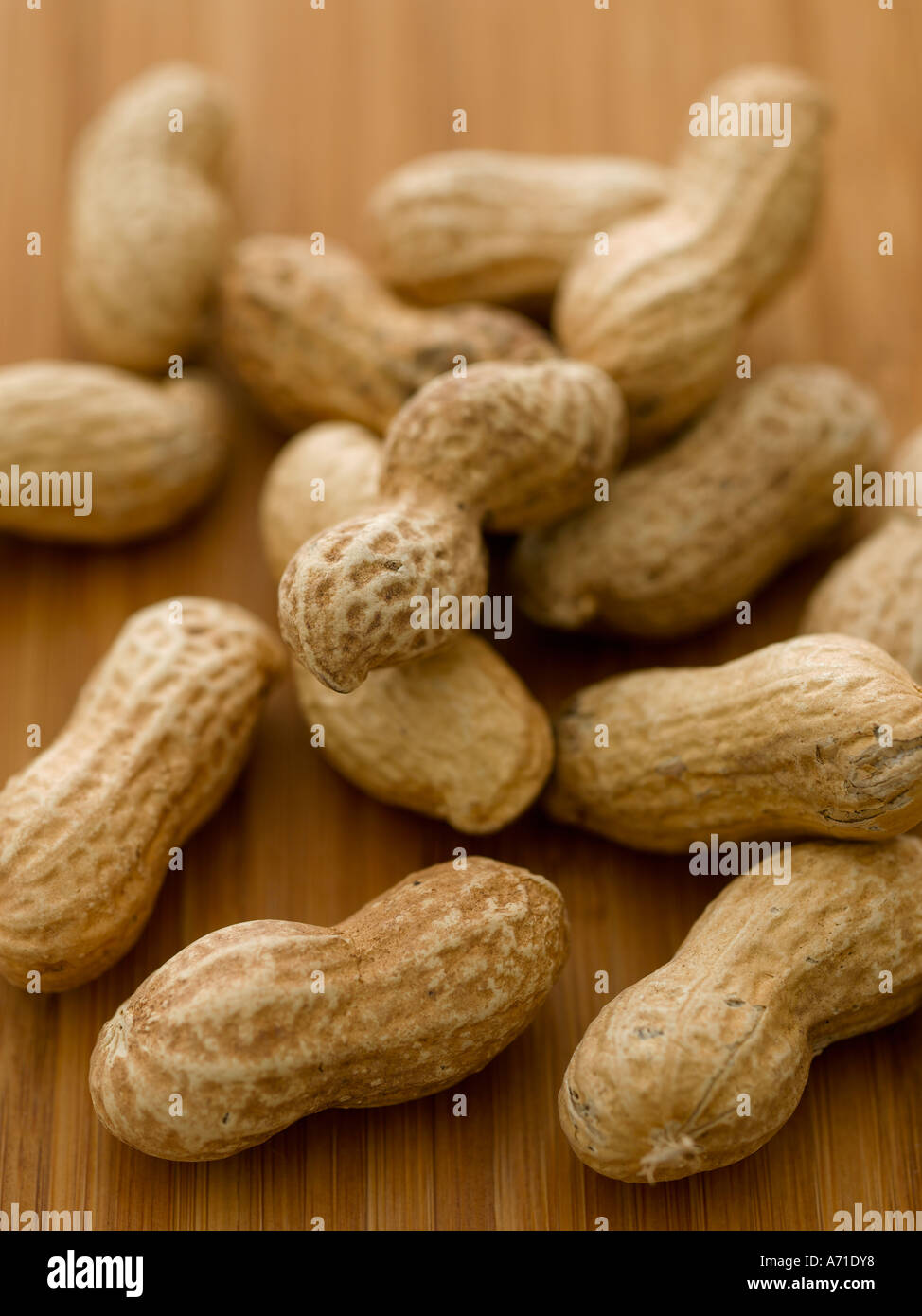 Les arachides en coque - haut de gamme image numérique Hasselblad 61Mo Banque D'Images