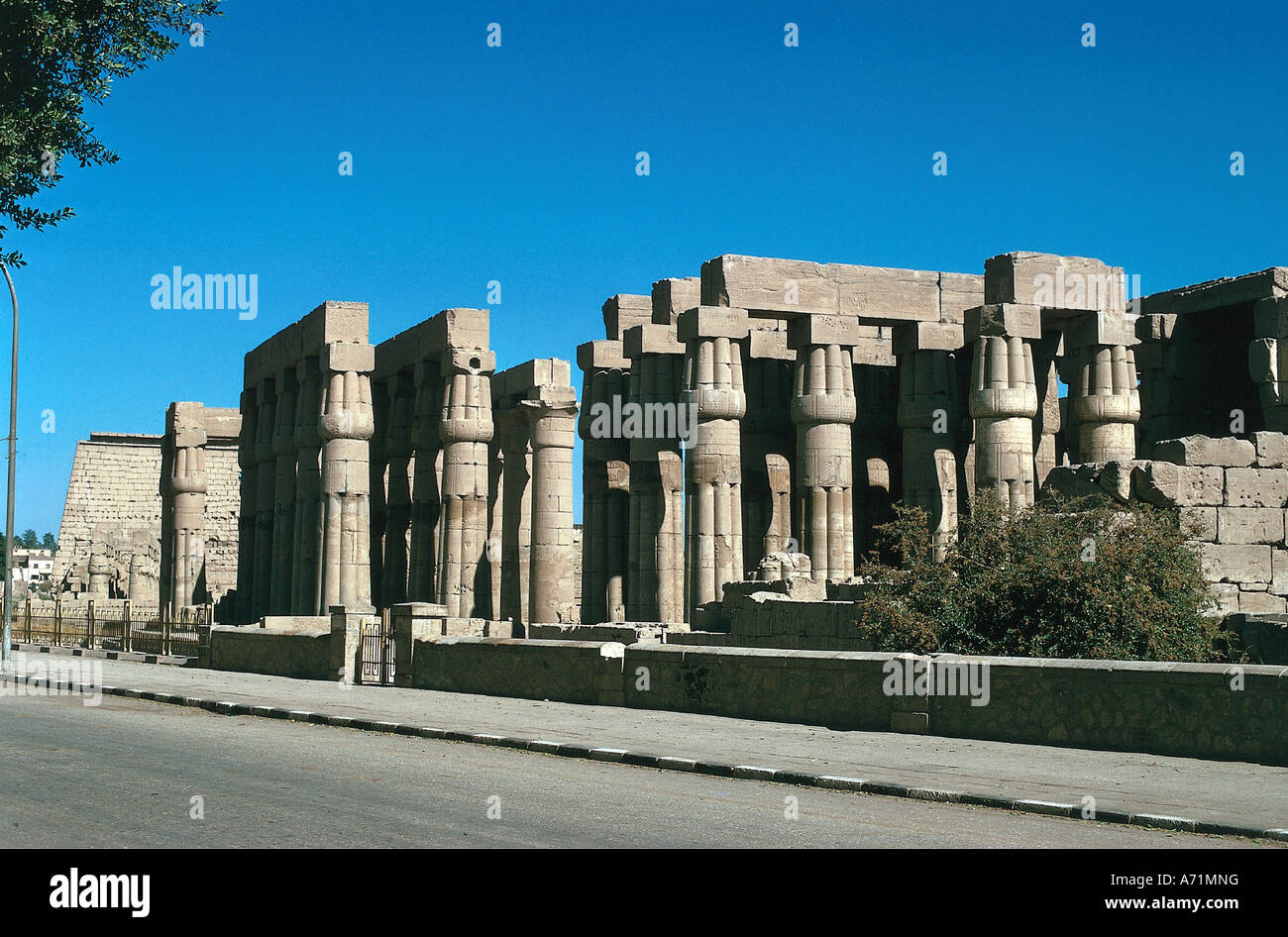 Géographie / voyage, Egypte, Louxor, temple d'Amun-Ra, cour du roi Amenopis III (Régna env. 1490 - 1364 av. J.-C., dix-huitième dynastie) avec colonnes de papyrus, partie occidentale du complexe de dieu Amon-Re dans la capitale Thèbes, colonne, papyrus, nouvel empire, antiquité, religion, cour de colonne, architecture, historique, ancien, pharaAmunhotep, ouest, Amun Ra, 18ème, Amon, Patrimoine mondial ancien, Patrimoine culturel Banque D'Images