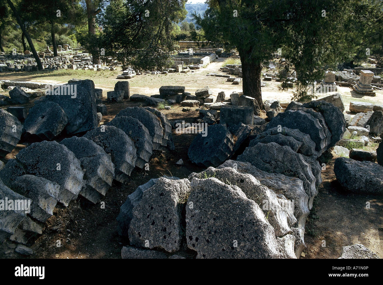 Géographie / voyage, Grèce, Olympia, sanctuaire de Zeus depuis le VIIe siècle avant J.-C., vestiges de colonnes, sports, historiques, historiques, anciens, antiquités, UNESCO, site du patrimoine mondial, Péloponnèse, Elis, Hellas, septième, monde antique, Banque D'Images