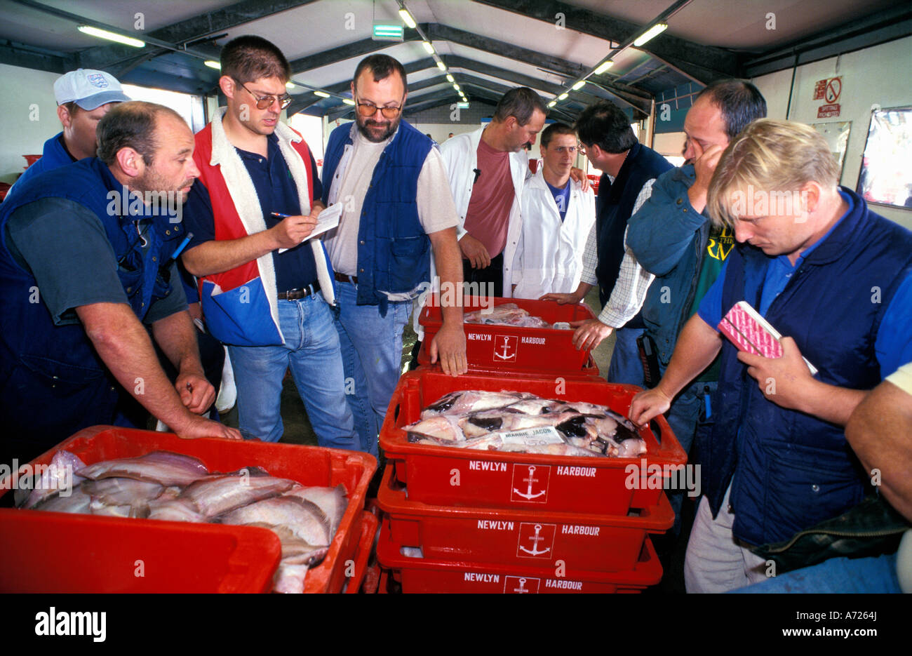 Vente aux enchères du poisson au port de Newlyn, Cornwall, UK Banque D'Images