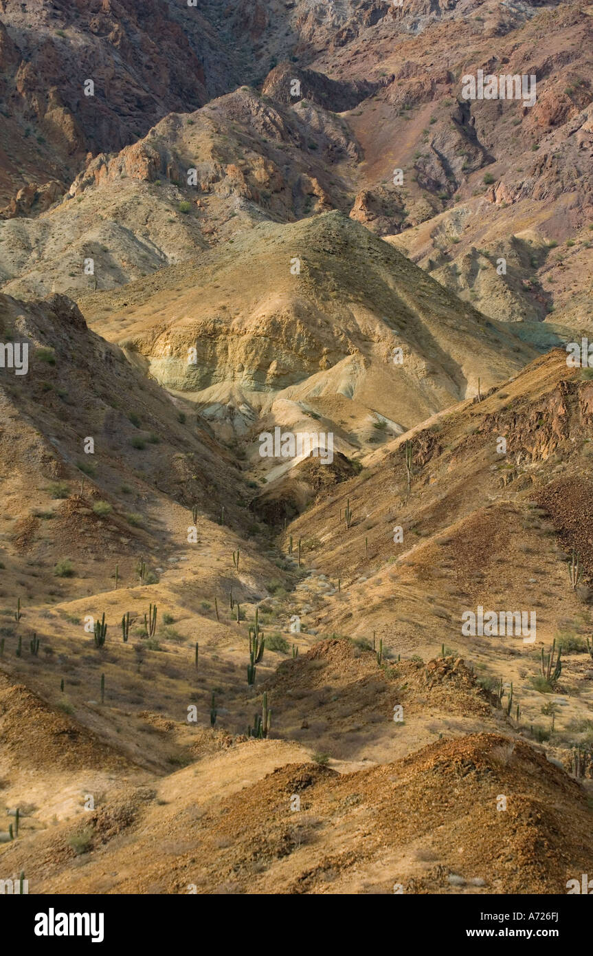 Mexique, Baja California, paysage désertique sur Isla Angel de la Guarda, mer de Cortes Banque D'Images