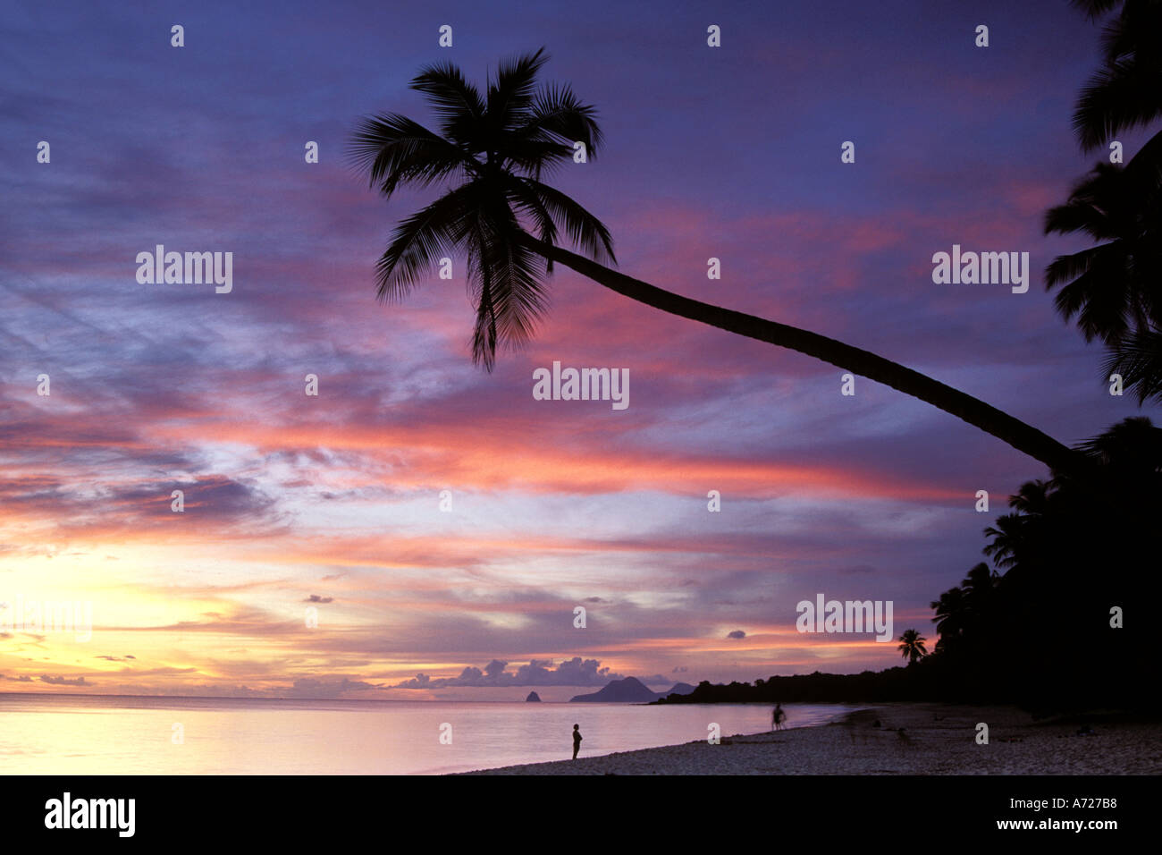 Martinique, Anse des Salines, la plage au coucher du soleil Banque D'Images