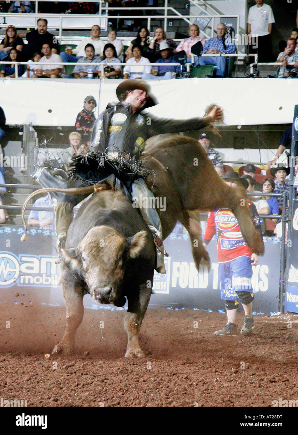 Professional bull rider Banque D'Images