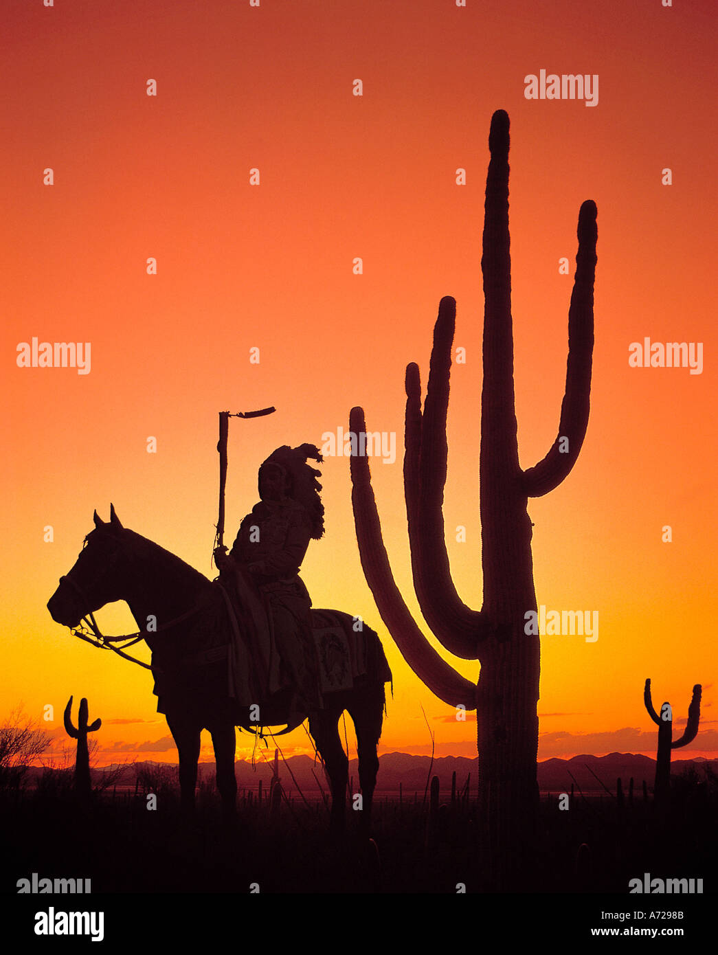 Les Indiens indigènes à cheval Équitation Saguaro Cactus National Monument en Arizona Banque D'Images