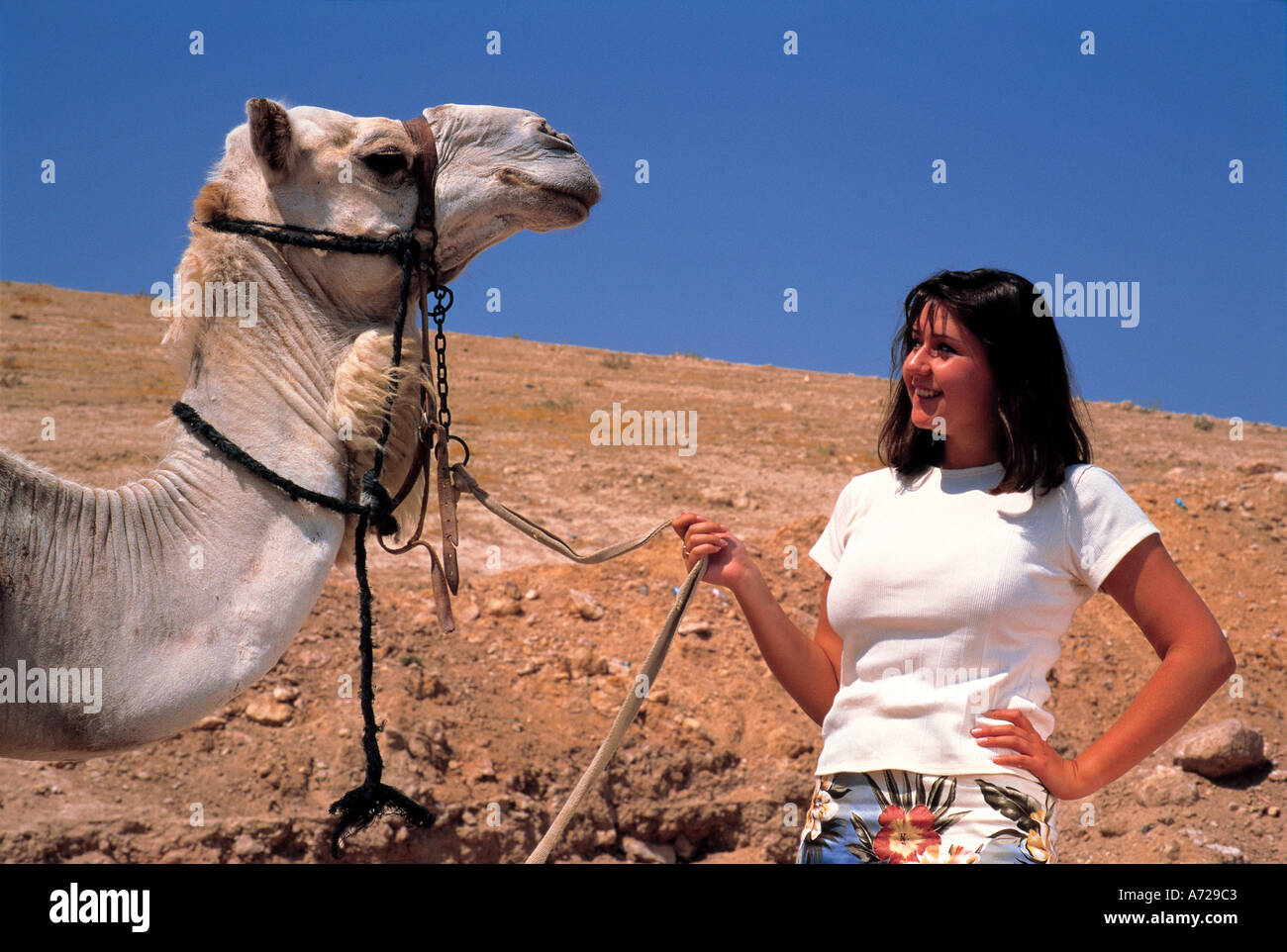 Fille avec Camel en Israël Banque D'Images