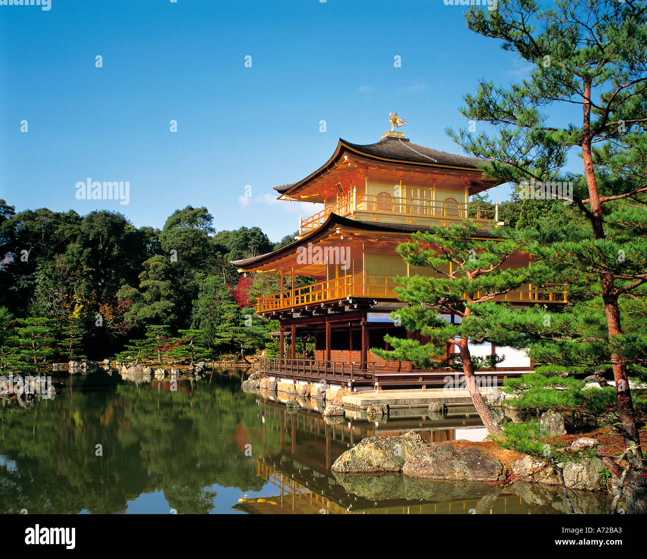 Le pavillon d'or Kinkakuji à Kyoto au Japon Banque D'Images