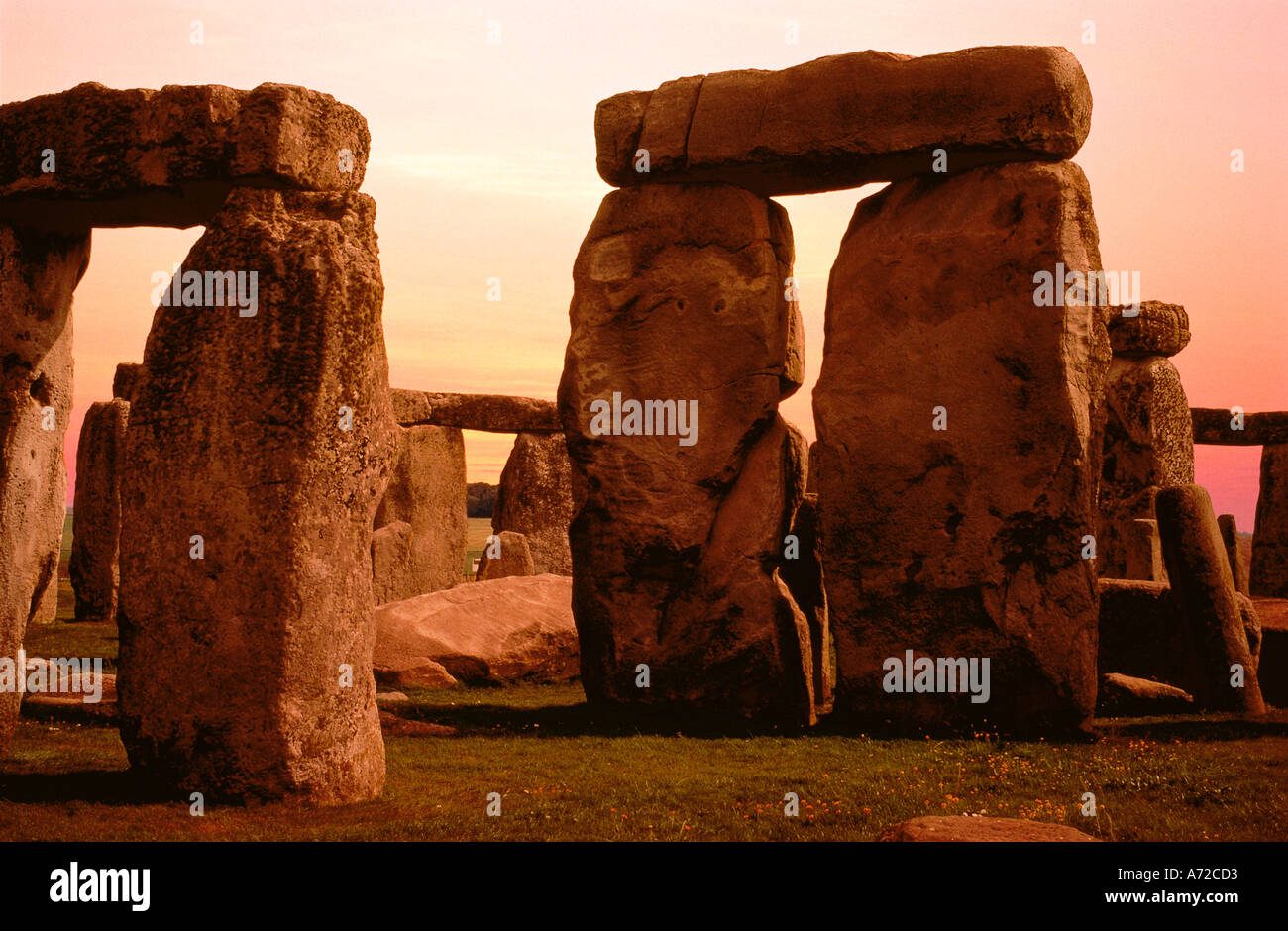 Les pierres de Stonehenge en cercle Wiltshire England Royaume-Uni Grande-Bretagne Banque D'Images