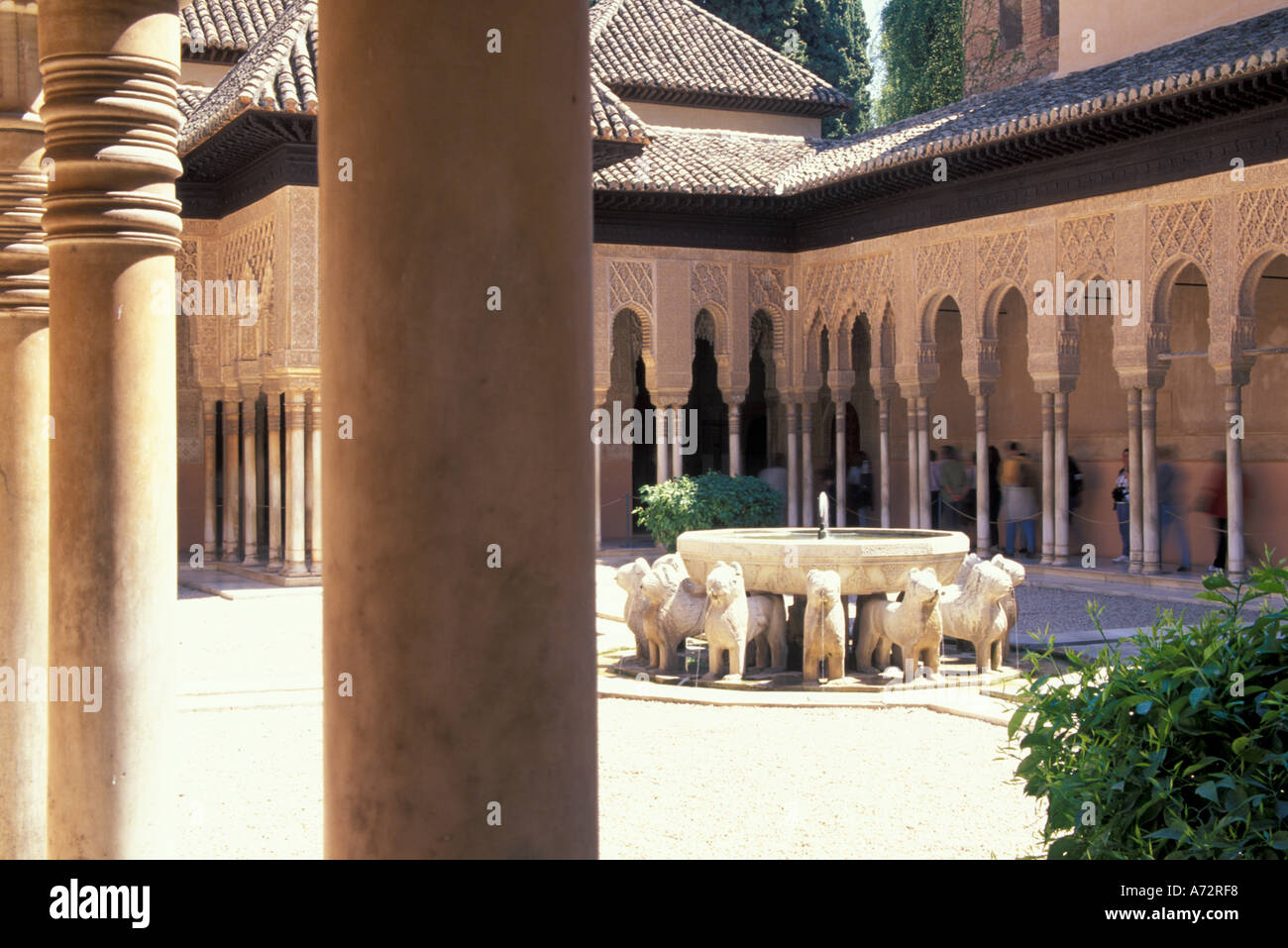 Espagne, Andalousie, Grenade Patio de los Leones de l'Alhambra, un palais maure fortifié (13th-14th C.) Banque D'Images