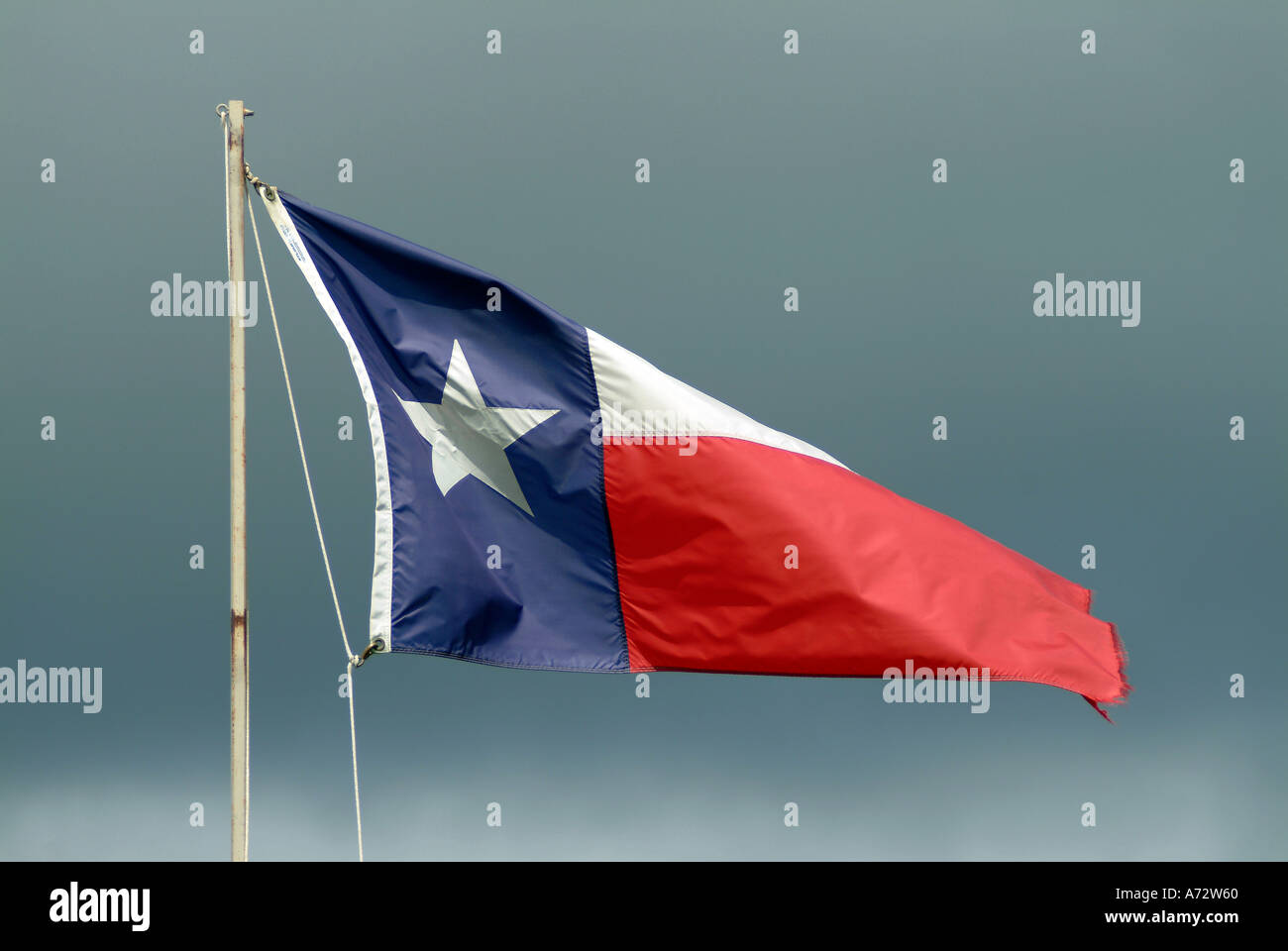 Drapeau de l'état du Texas Banque D'Images