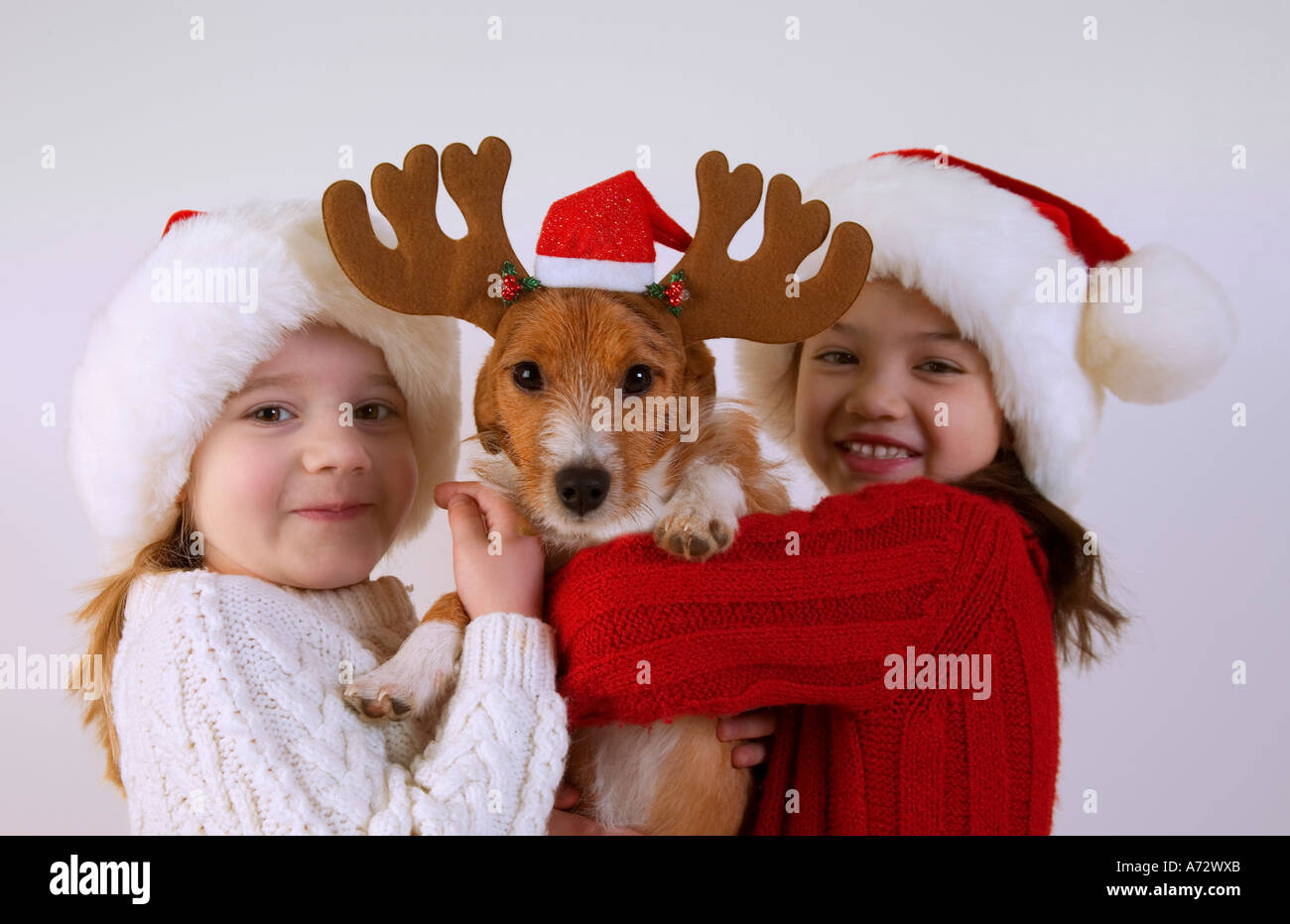 Les enfants et le chien avec bois Banque D'Images