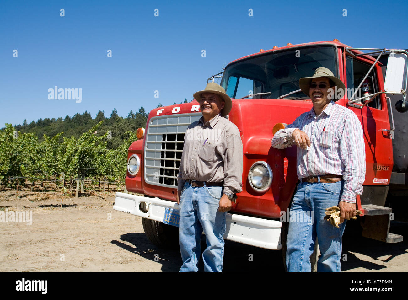 Les travailleurs mexicains à vignobles de Napa Valley Californie USA Banque D'Images