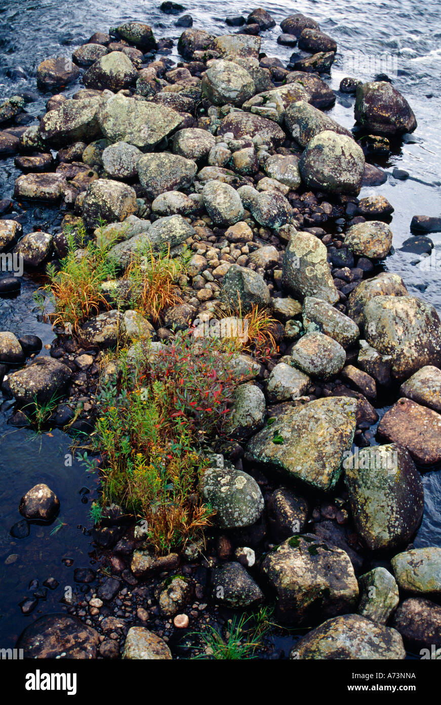 Sur les rochers au-dessous Oswegatchie River Cranberry Lake Banque D'Images