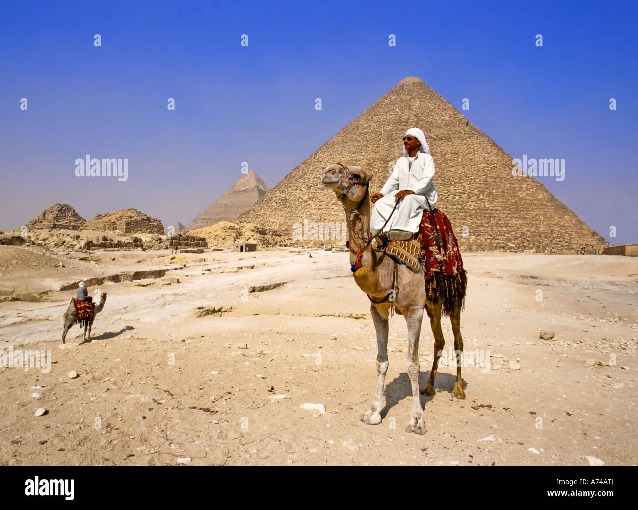 Sur égyptien par chameau pyramide de Khéops Égypte Banque D'Images