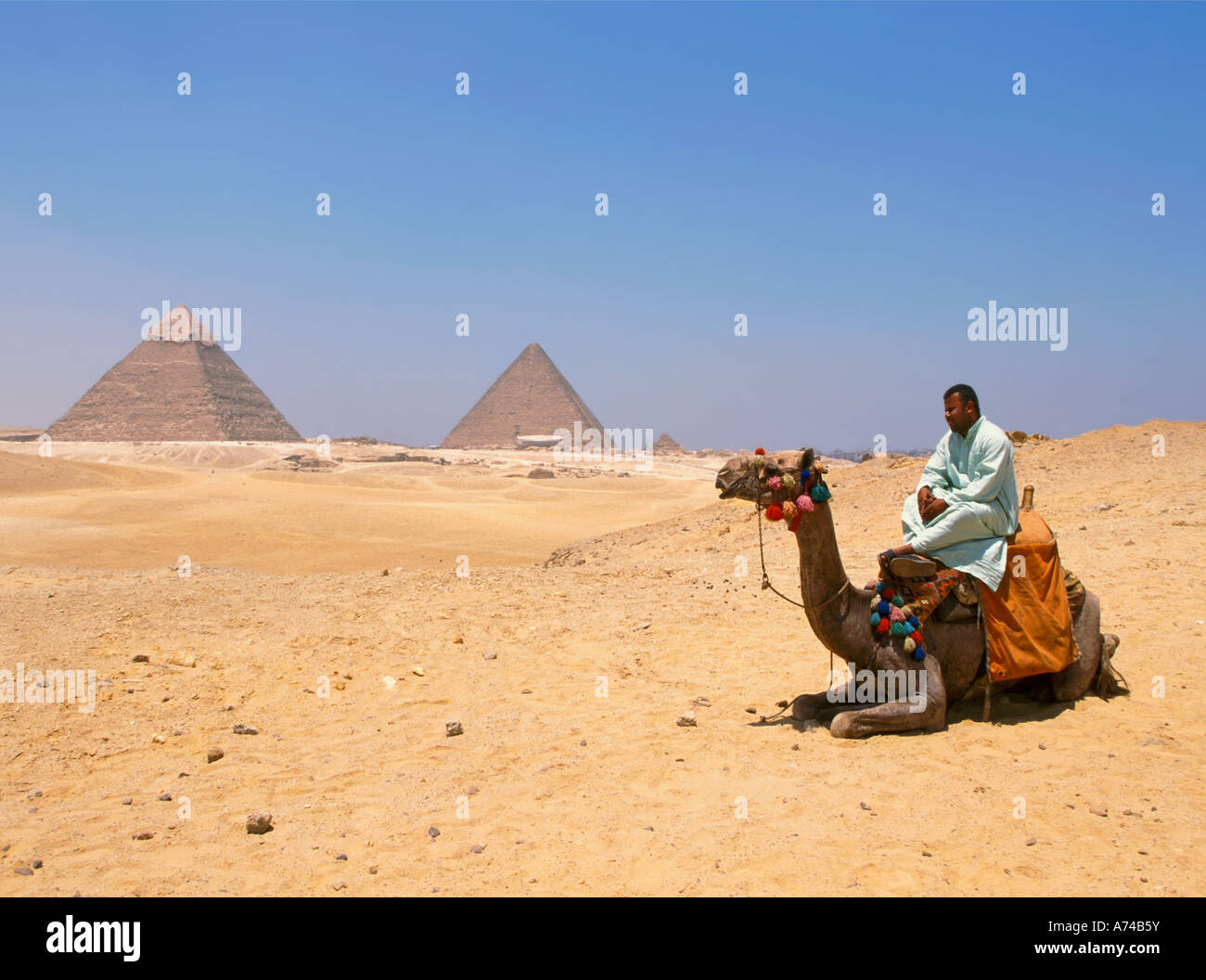 L'homme égyptien reposant sur son chameau par pyramides Gizeh Banque D'Images