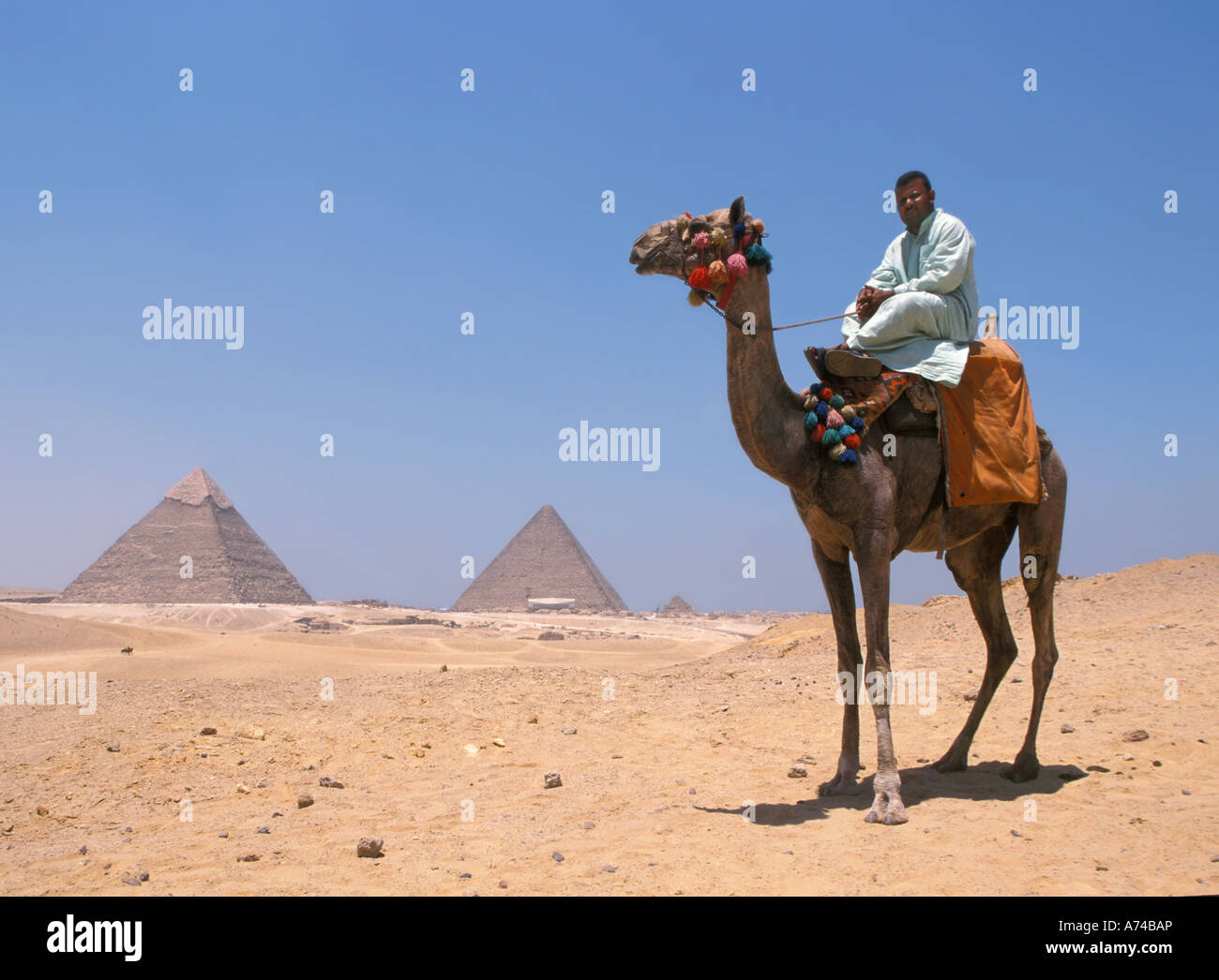 Équitation égyptien pyramides Gizeh Égypte par chameau Banque D'Images