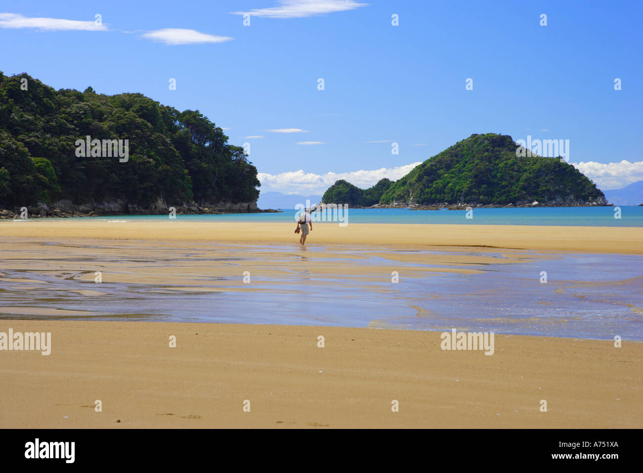 Tonga Bay, Abel Tasman, Parc National, l'île du Sud, Nouvelle-Zélande. Banque D'Images