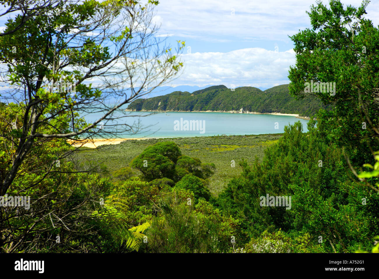 Vue d'un trek Parc national Abel Tasman, île du Sud, Nouvelle-Zélande. Banque D'Images