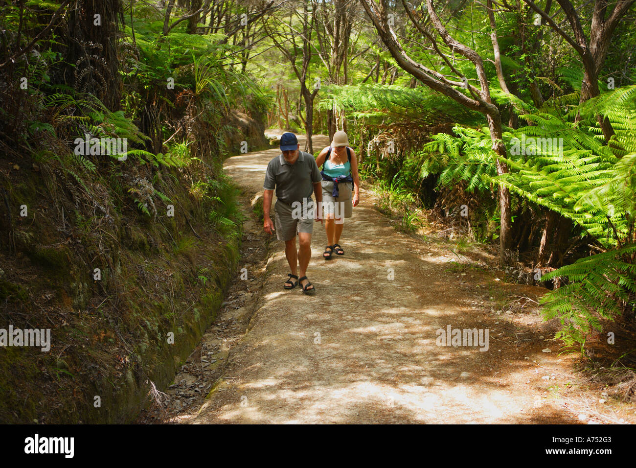 Randonnée à travers le parc national Abel Tasman, île du Sud, Nouvelle-Zélande. Banque D'Images