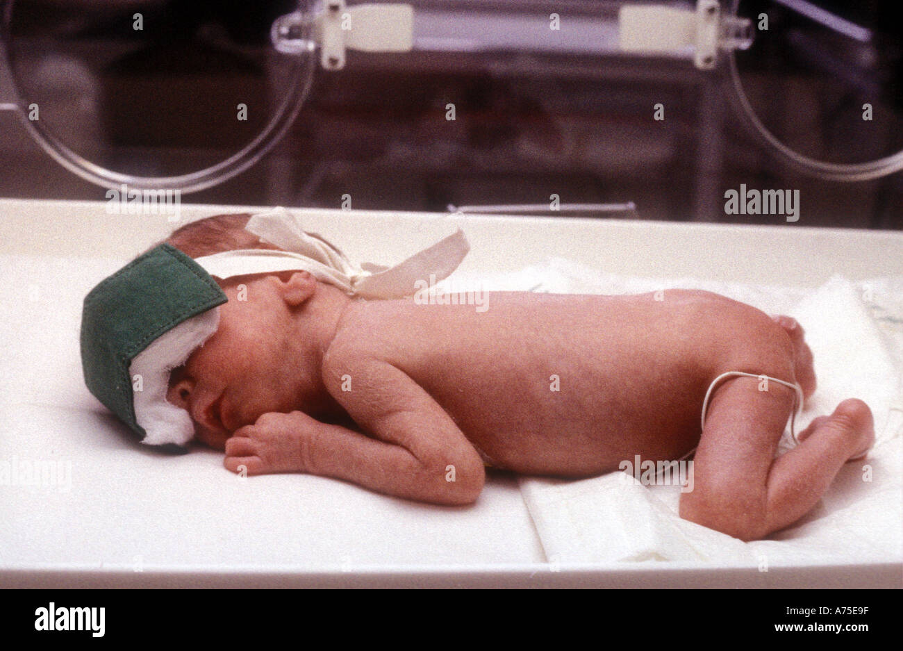 Naissance bébé fille à l'intérieur de l'incubateur à l'hôpital après la  salle d'accouchement 11673706 Photo de stock chez Vecteezy