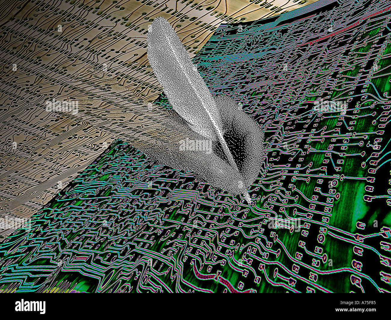 Les circuits électroniques numériques et plume Banque D'Images