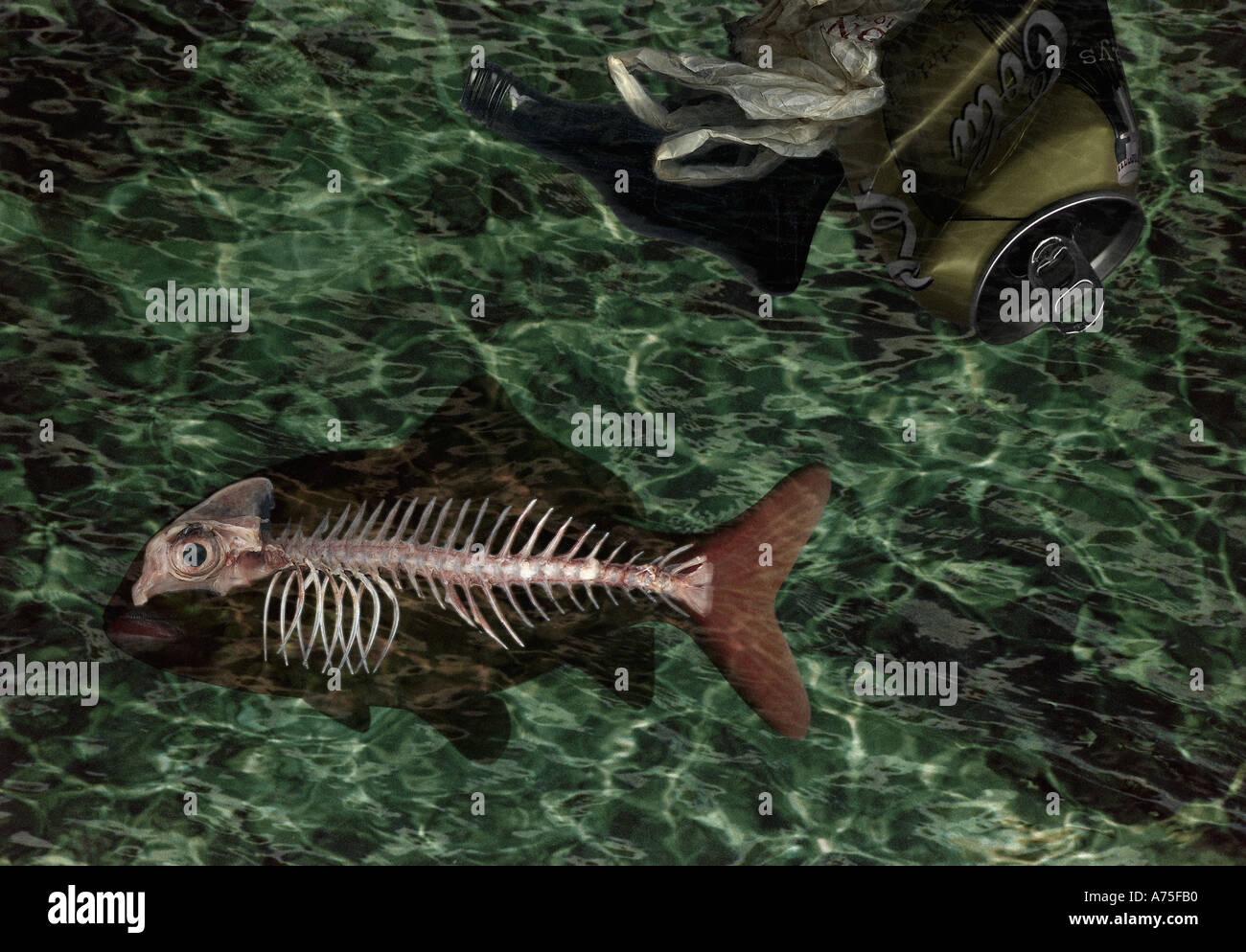 Poisson squelette et de la pollution de l'environnement Banque D'Images Poisson squelette et de la pollution de l'environnement Banque D'Images