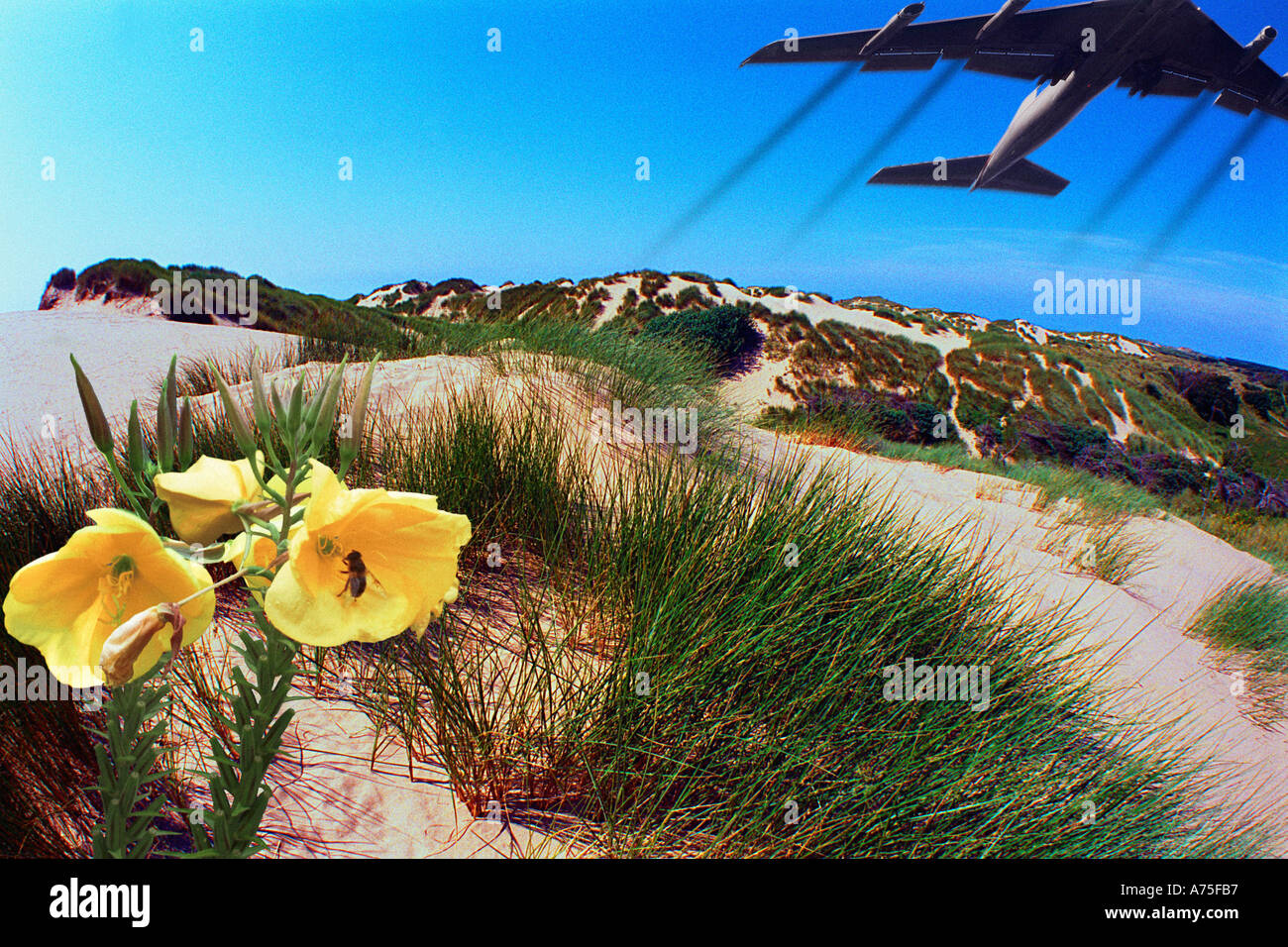Beach et avion Banque D'Images Beach et avion Banque D'Images