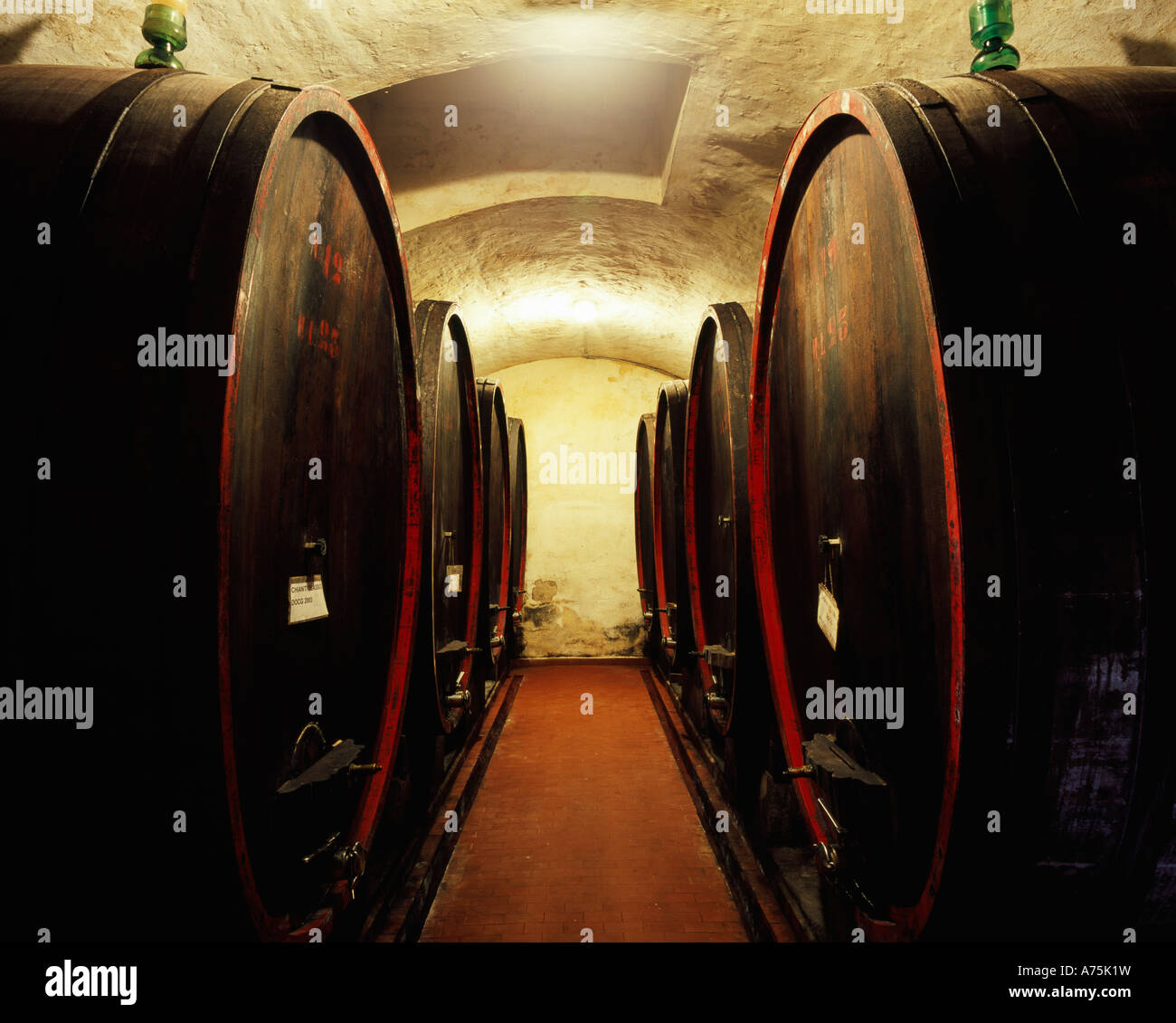 Barberino di Val d'Elsa, Toscane, Italie ; Chianti tonneaux dans la cave de Pasolini Onda dall winery. Banque D'Images