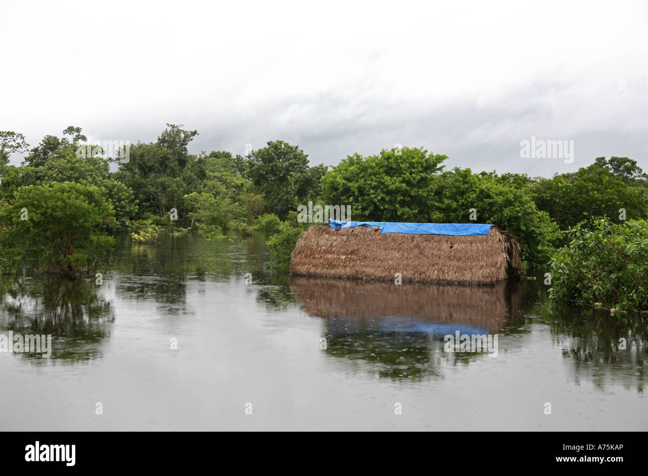 Toit cabane à la périphérie de Trinidad mal effectuée par les inondations, Beni, Bolivie, Amérique du Sud Banque D'Images