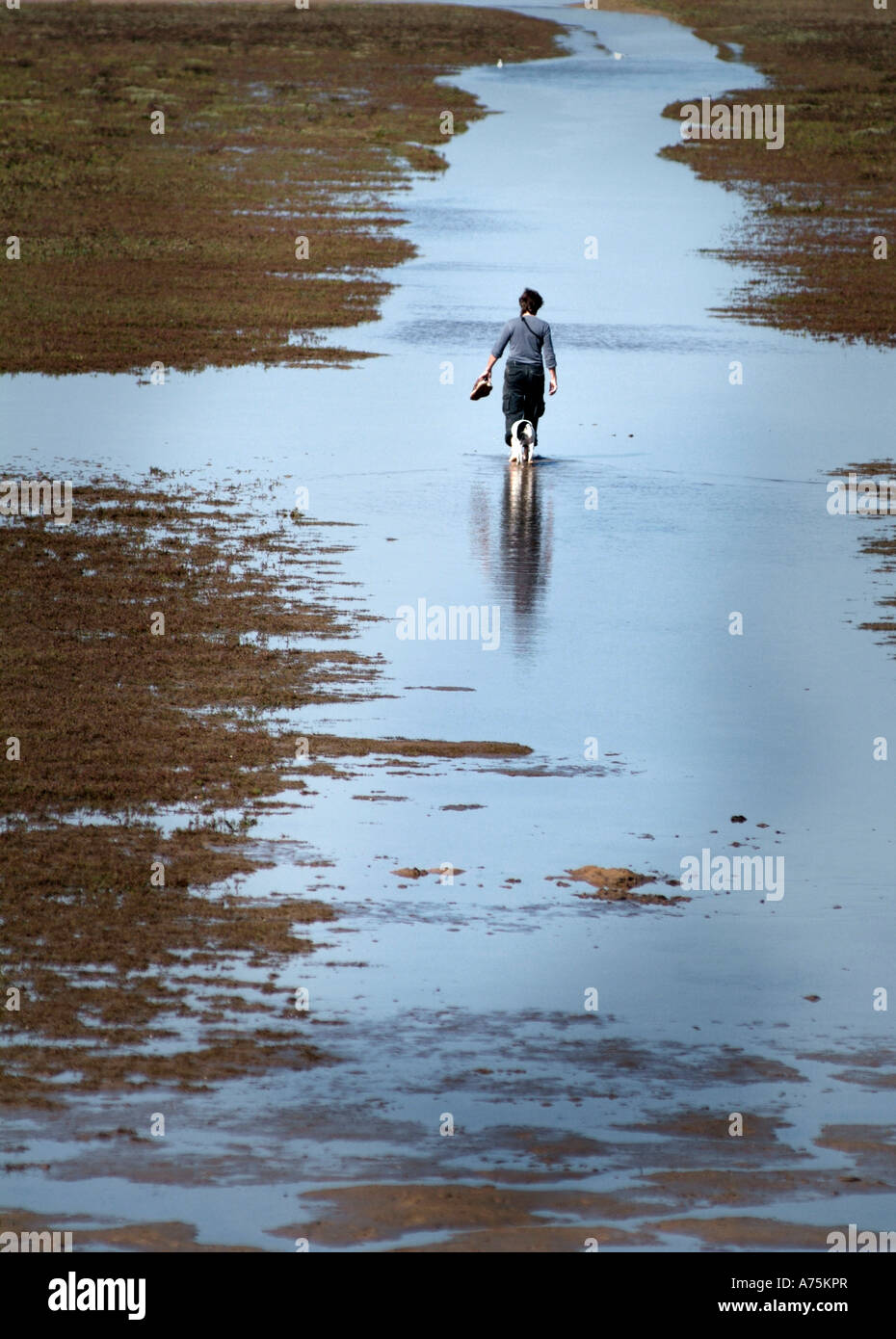 Homme marchant avec chien holkham beach norfolk uk Banque D'Images