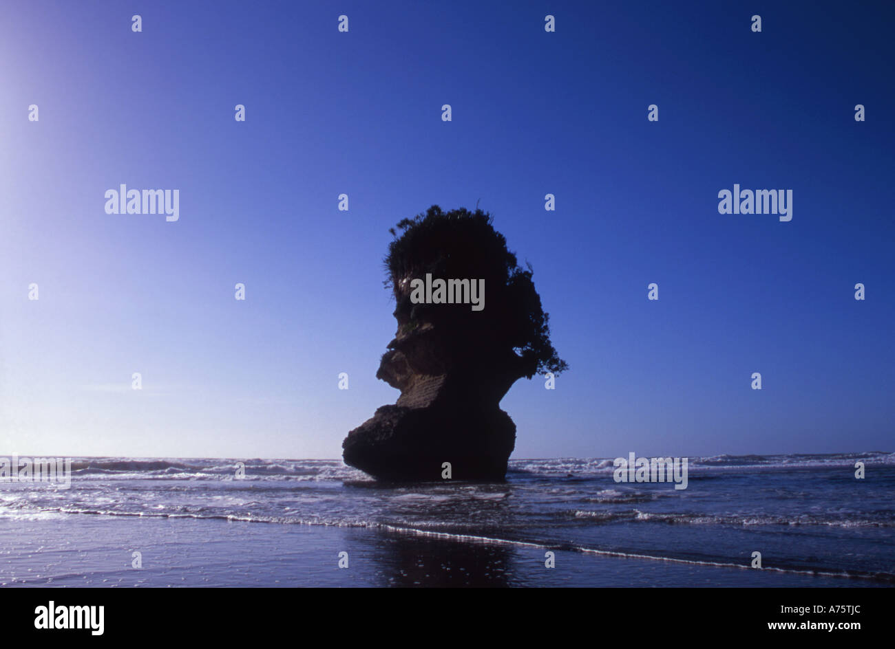 Pile à la mer Parc National Paparoa Punakaiki Beach ile sud Nouvelle Zelande Banque D'Images