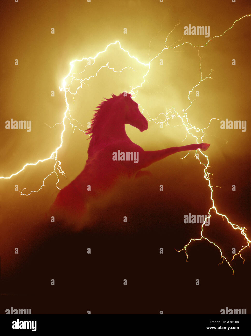 La foudre et cheval Banque D'Images