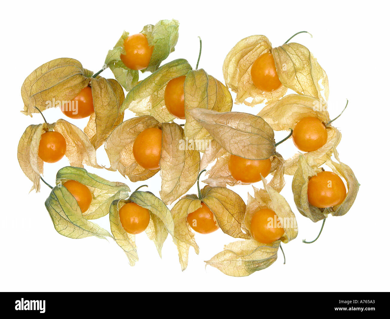 Lanterne chinoise physalis fruit Fruit Photo Stock - Alamy