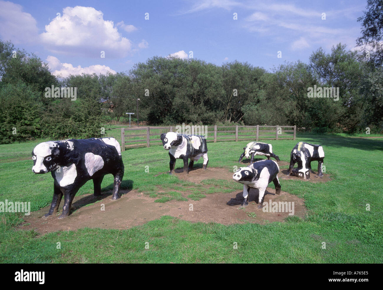 Groupe de vaches frisonnes noires et blanches dans une sculpture en béton de l'artiste américaine Liz Leyh dans le parc Milton Keynes Buckinghamshire Angleterre Royaume-Uni Banque D'Images