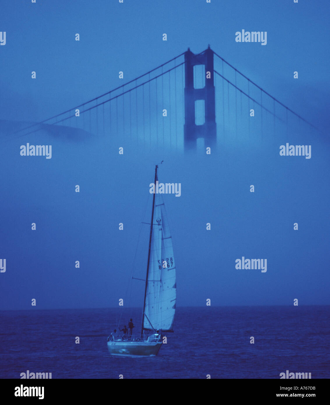 Un yacht naviguer sous le Golden Gate Bridge dans un épais brouillard Banque D'Images