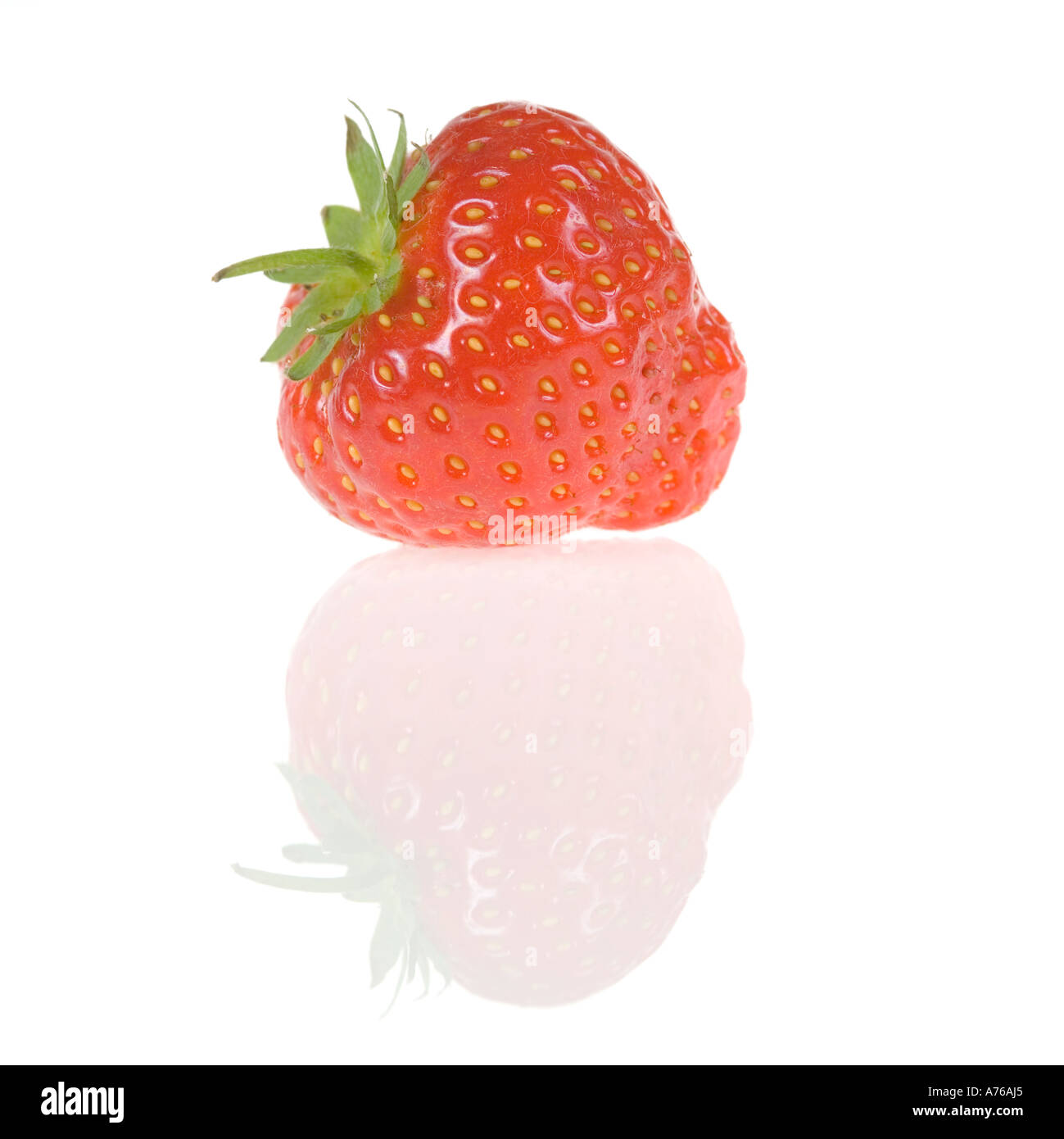 Tout unique fraise reflétée sur un fond blanc, pur. Banque D'Images