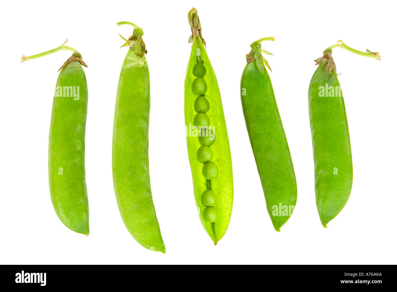 Cinq gousses de pois dans une rangée, avec un s'ouvrir l'exposition les pois sur un fond blanc, pur. Banque D'Images