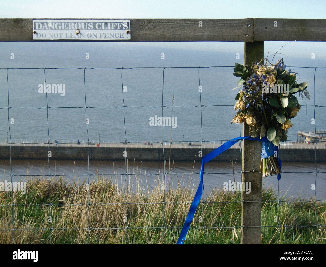Dangerous Cliffs Do Not Lean on Fence signe sur une clôture en treillis métallique au sommet d'une falaise, à côté d'un bouquet de fleurs mortes attaché à un poteau de clôture avec un ruban bleu Banque D'Images